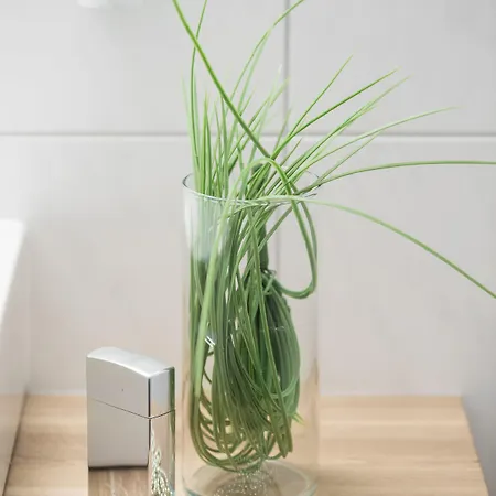 Aparthotel Alpenparks Hotel&apartment Zell Am