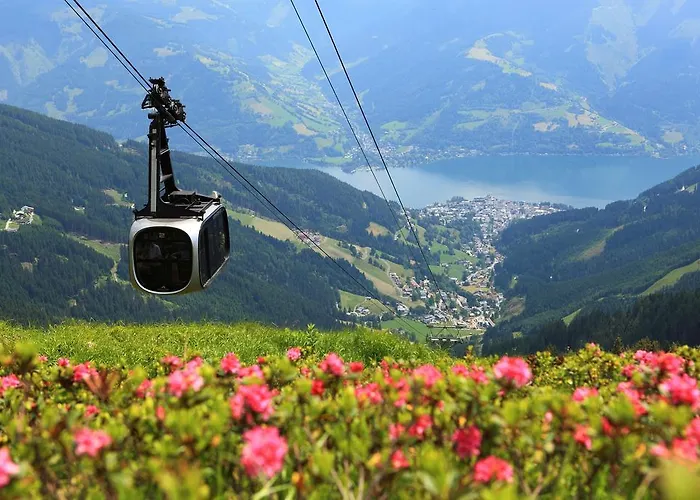 Aparthotel Alpenparks & Zell Am
